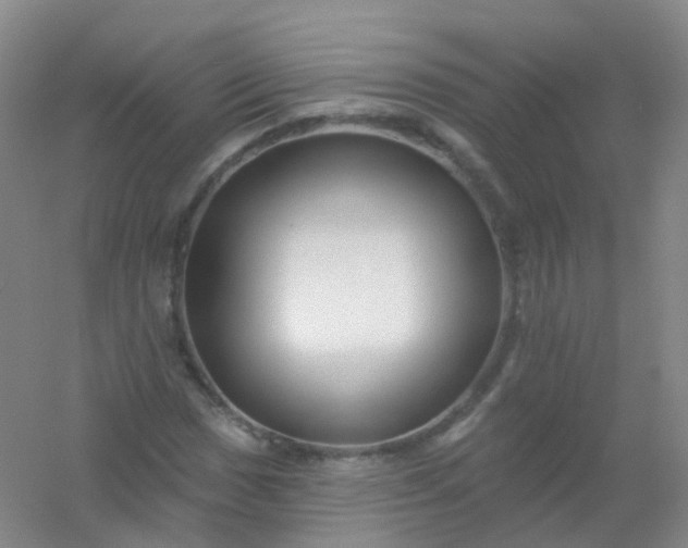 X0000054461017200508121931