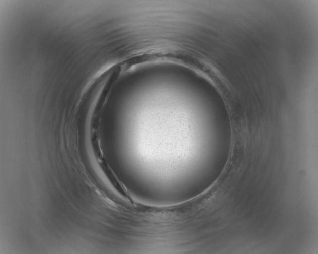 X0000054461018200508121931