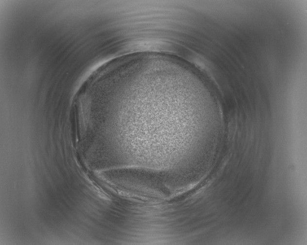 X0000054461019200508121931