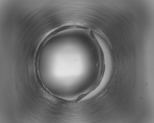 X0000054461020200508121931