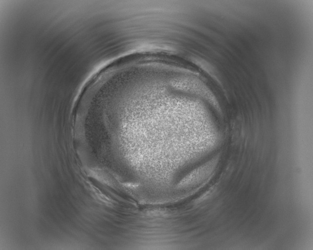 X0000054461021200508121931