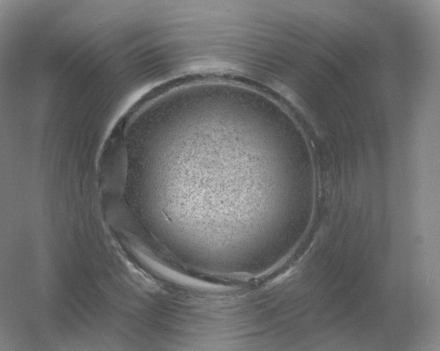 X0000054461022200508121932