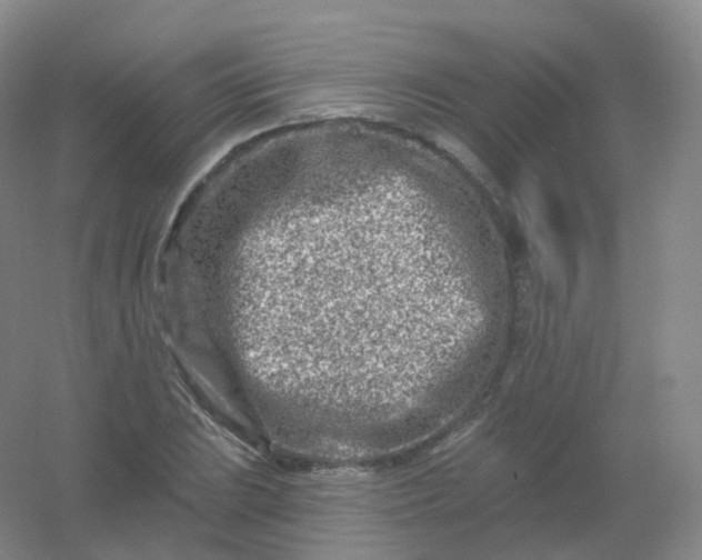 X0000054461023200508121932