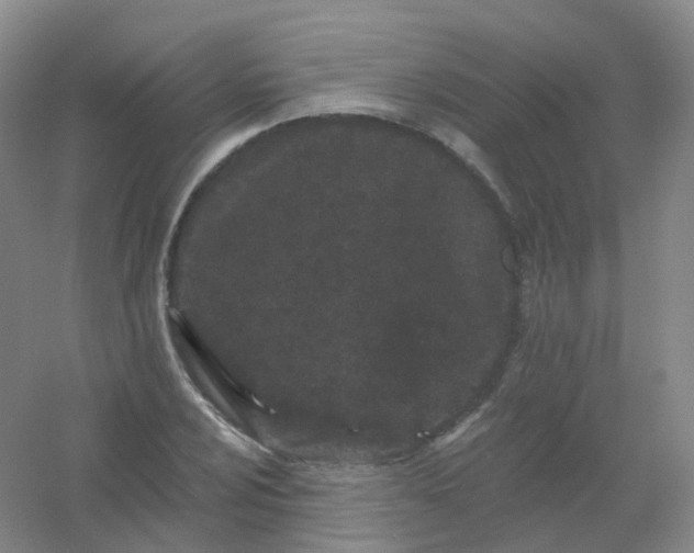 X0000054461024200508121932