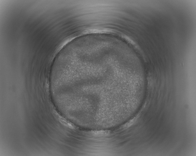 X0000054461025200508121932