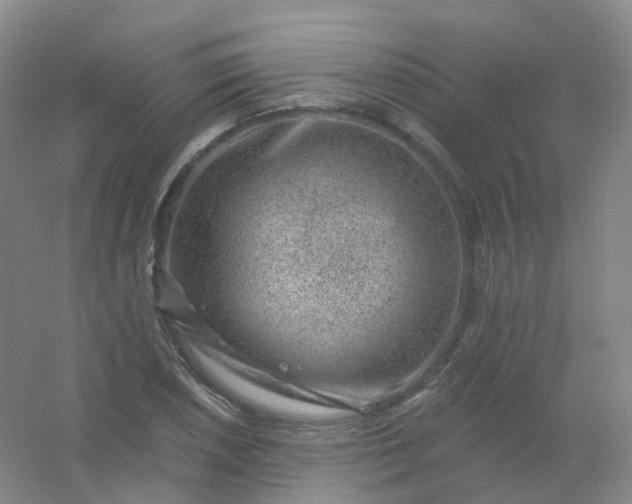 X0000054461026200508121932