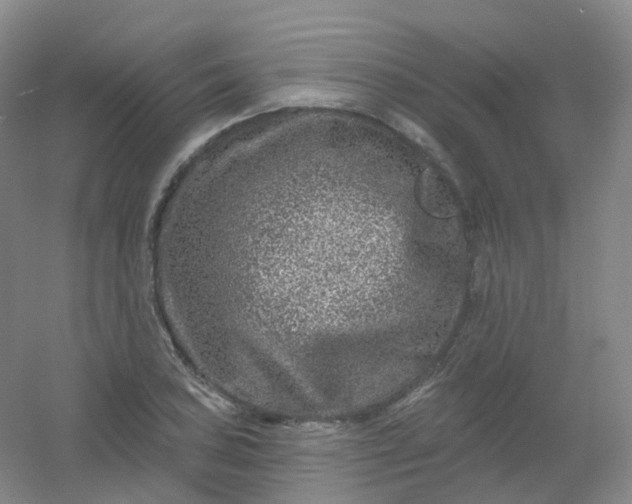 X0000054461027200508121932