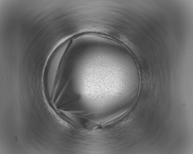 X0000054461028200508121932