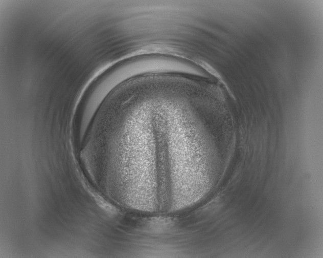 X0000054461029200508121932