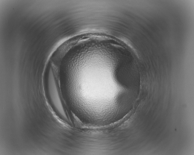 X0000054461030200508121932