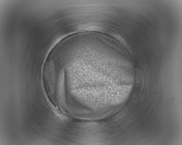 X0000054461031200508121932