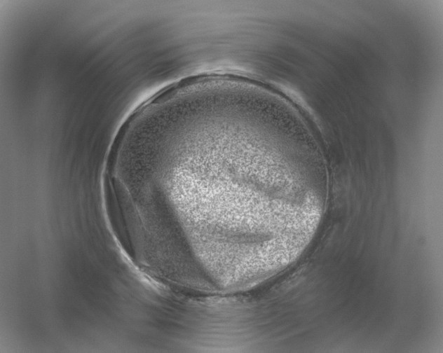 X0000054461032200508121932