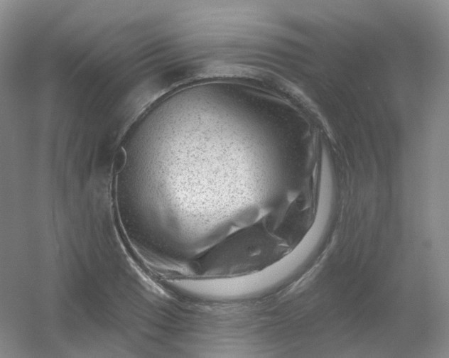 X0000054461033200508121932