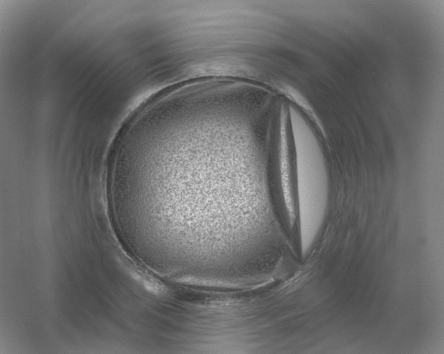 X0000054461035200508121932