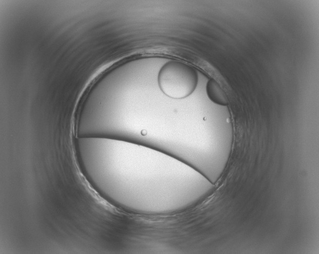 X0000054461036200508121932