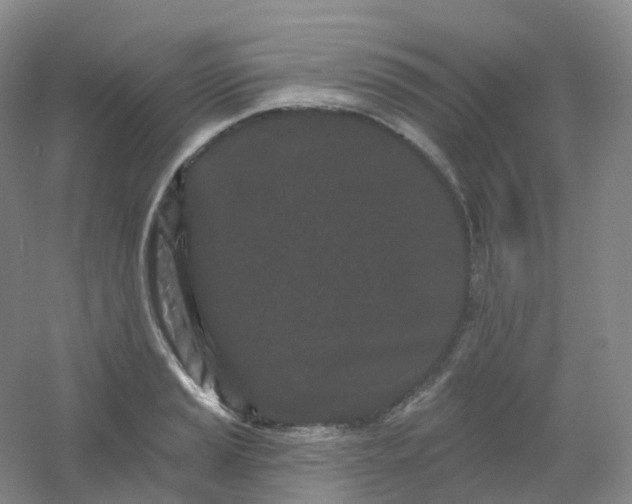 X0000054461037200508121932