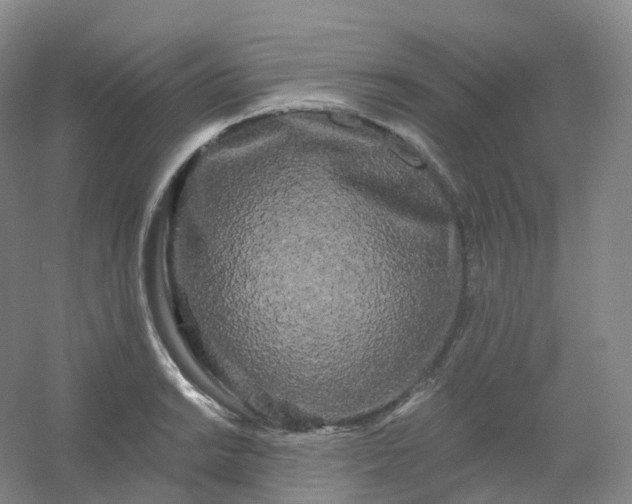 X0000054461038200508121932