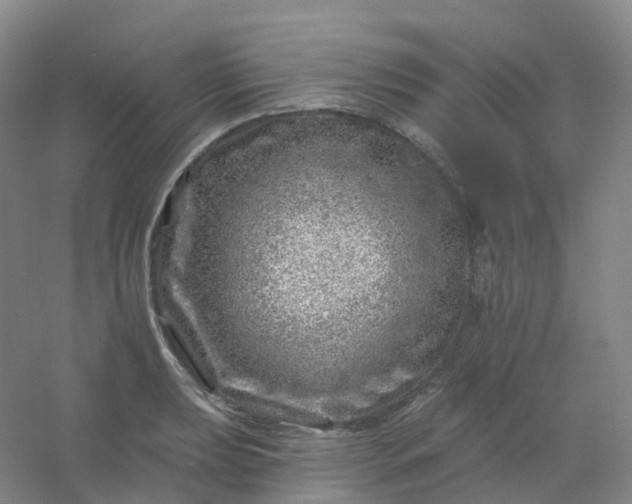 X0000054461039200508121932