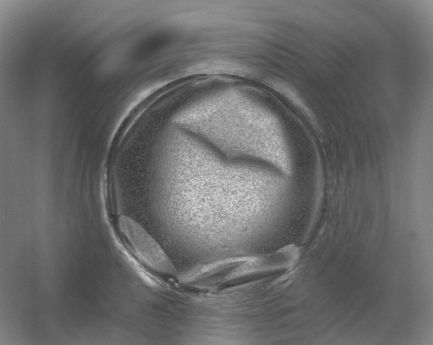 X0000054461040200508121932