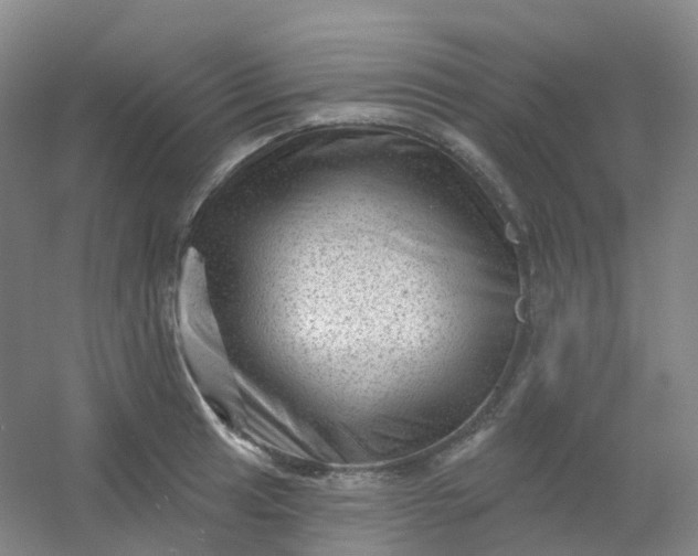 X0000054461041200508121932