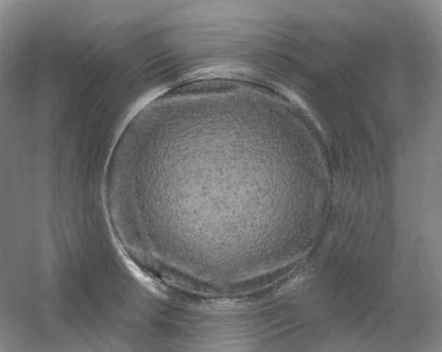 X0000054461042200508121932