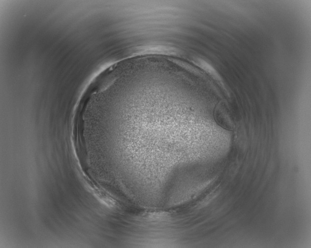 X0000054461043200508121932