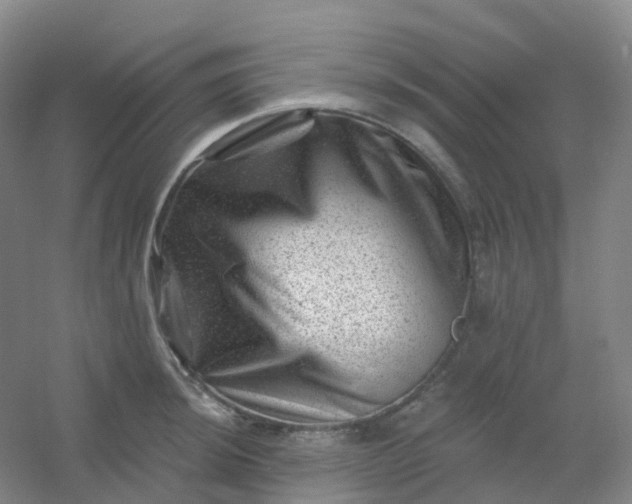 X0000054461044200508121932