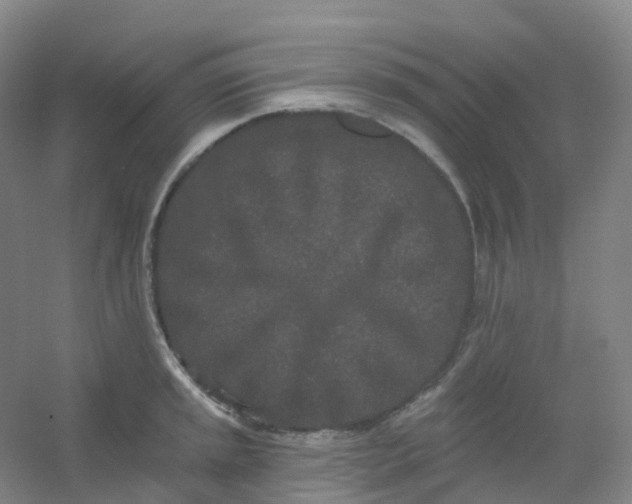 X0000054461045200508121932