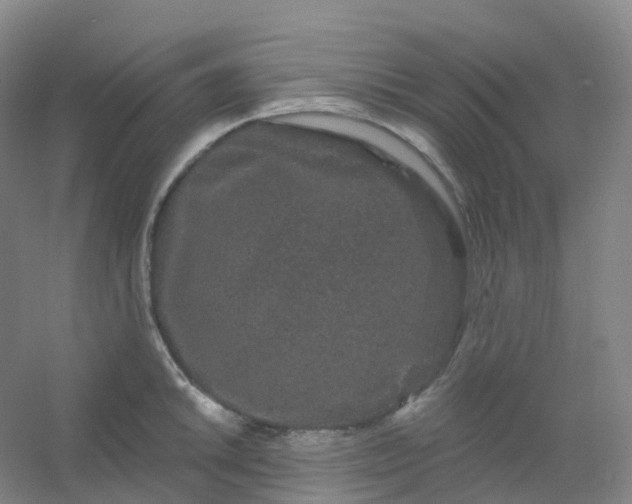 X0000054461046200508121932