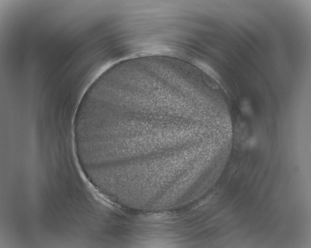 X0000054461047200508121932