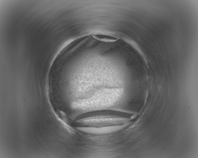 X0000054461048200508121932