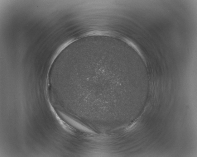 X0000054461050200508121932