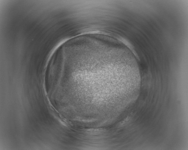 X0000054461051200508121932