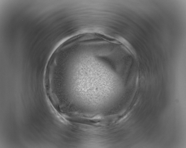 X0000054461052200508121932