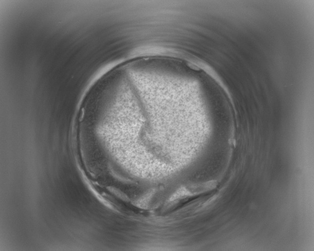 X0000054461053200508121932