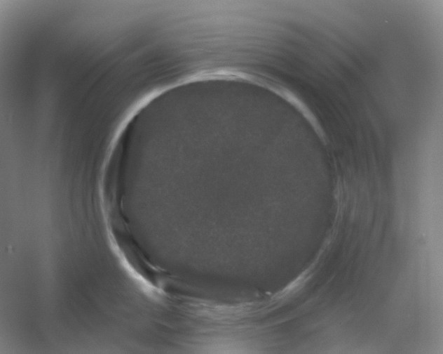 X0000054461054200508121932