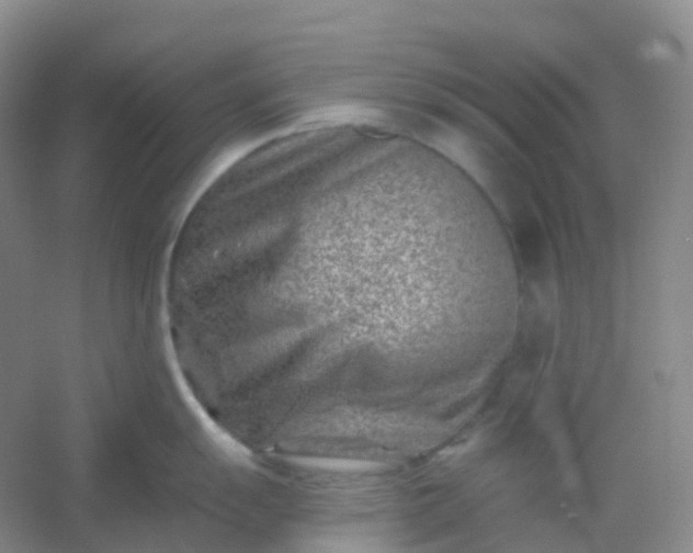 X0000054461055200508121932