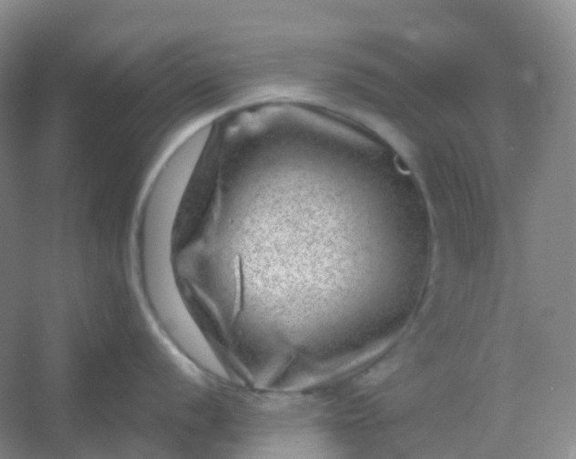 X0000054461056200508121932