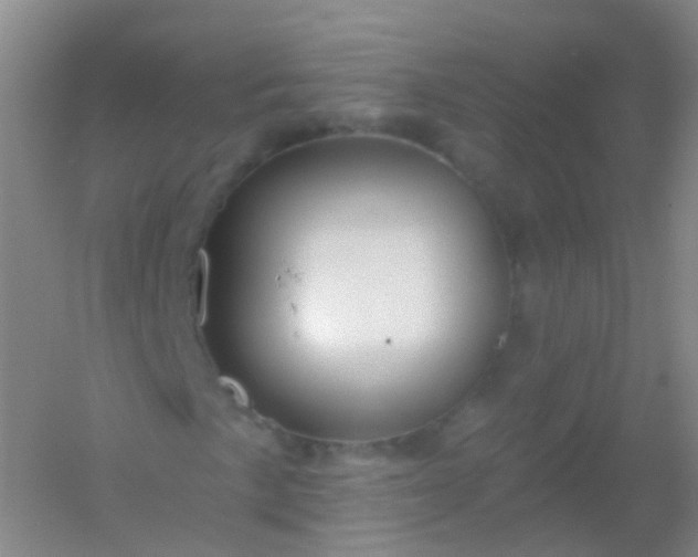 X0000054461057200508121931