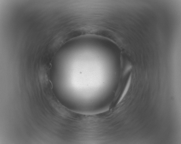 X0000054461058200508121931