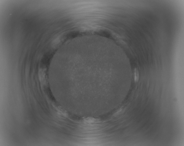 X0000054461059200508121931