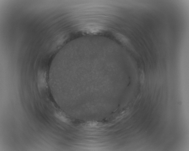 X0000054461060200508121931