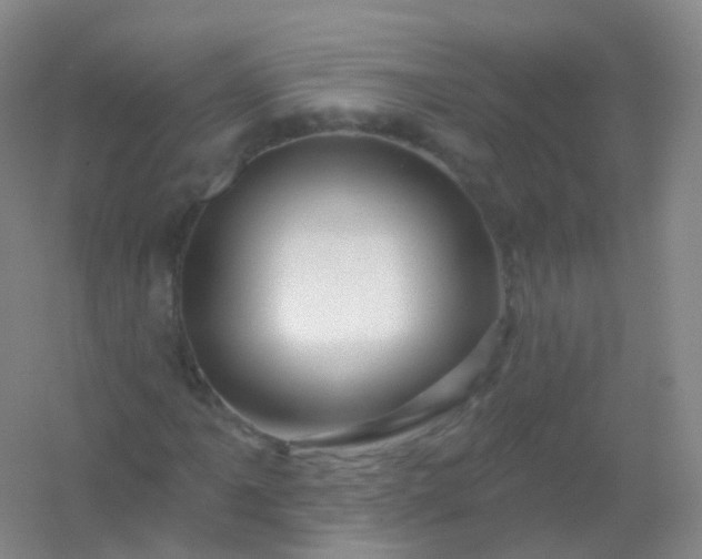 X0000054461061200508121931