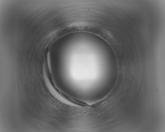 X0000054461062200508121931