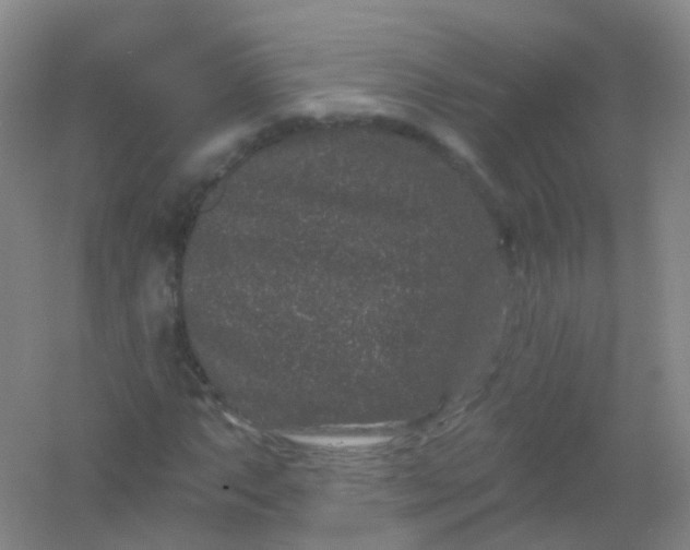 X0000054461063200508121931