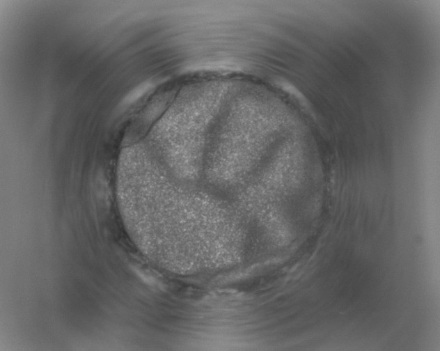 X0000054461064200508121931