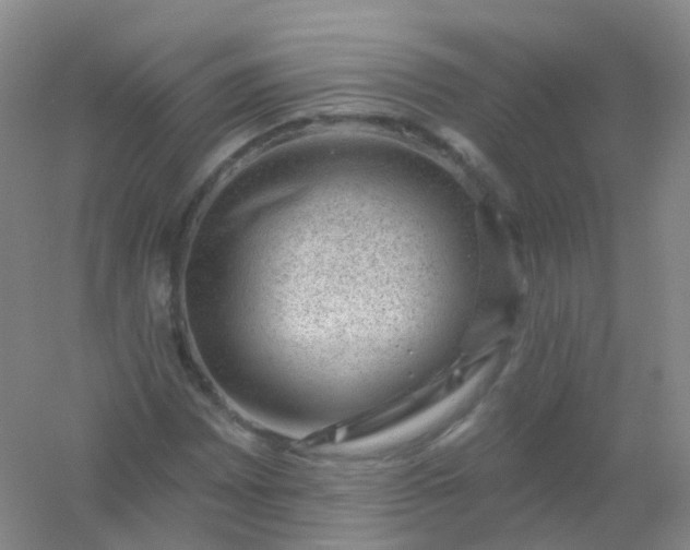 X0000054461065200508121931