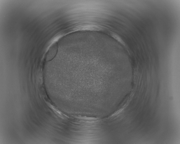 X0000054461067200508121931