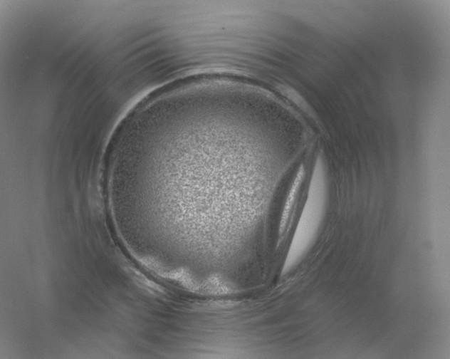 X0000054461068200508121931