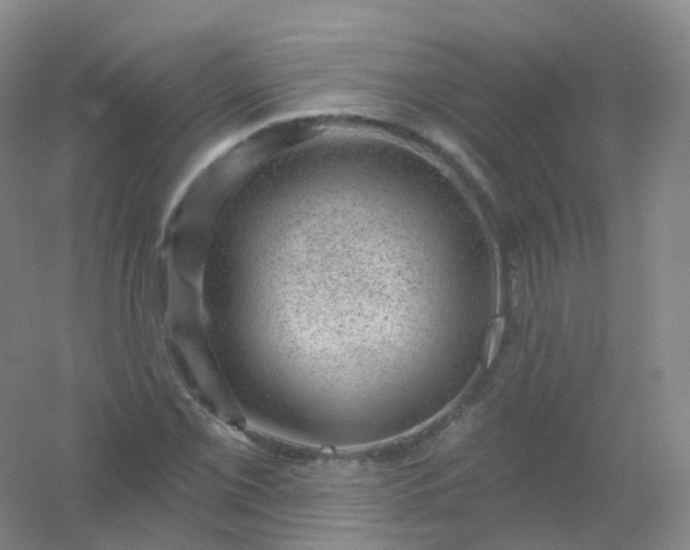 X0000054461069200508121931